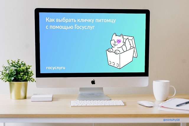 На Госуслугах появился генератор кличек для питомцев